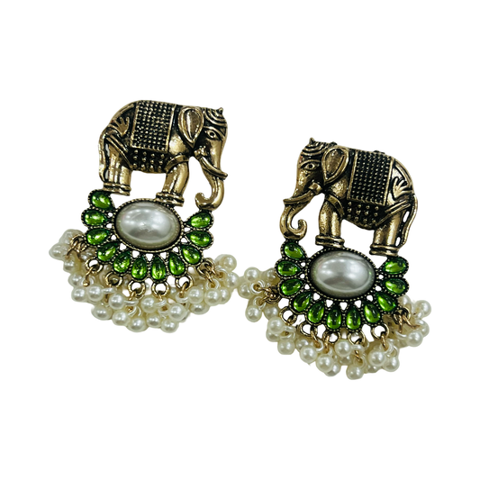 Ear17 Imitation Earrings - front view