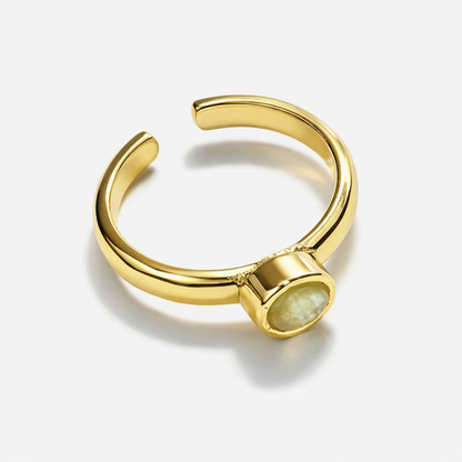 Jinam minimalist gold-tone adjustable ring featuring a natural iridescent shell stone, elegant jewelry accessory.